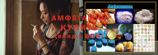 прущие грибы Балахна