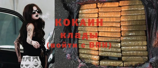 прущие грибы Балахна